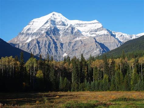 Mount Robson Canada Stock Photo Image Of Nature Park 94299574