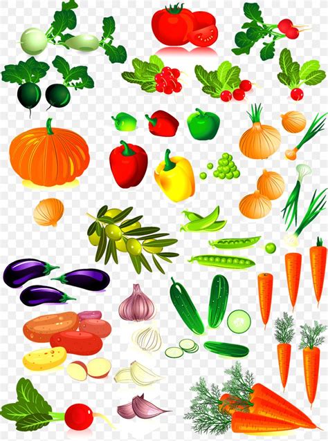 Vegetable Clip Art Png 1200x1617px Vegetable Artwork Bell Pepper