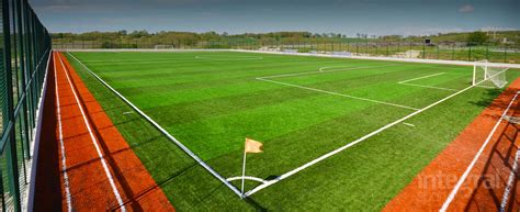 They are among the most popular artificials. How Much Does A Turf Field Cost | MyCoffeepot.Org