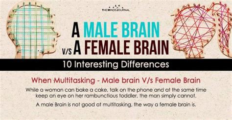 A Male Brain Vs A Female Brain 10 Interesting Differences