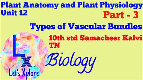 Types Of Vascular Bundles Plant Anatomy And Plant Physiology