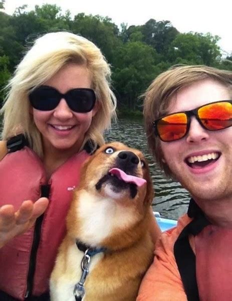 The 35 Most Hilarious Animal Photobombs Ever