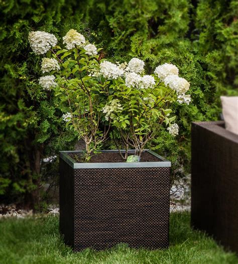 Jardinière en résine tressée avec réserve d'eau et cadre en aluminium