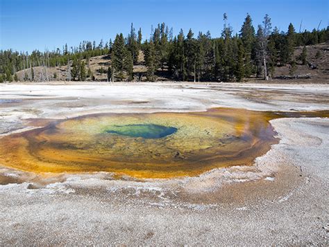 Upper Geyser Basin Yellowstone National Park United States