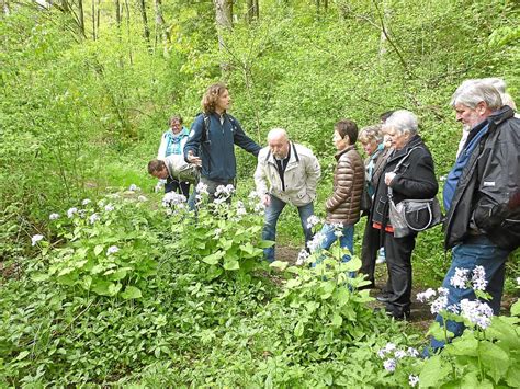 Der ozeanblaue tag marcus bergfelder. Sulz a. N.: Ehemalige Bergfelder geben tolle Einblicke ...