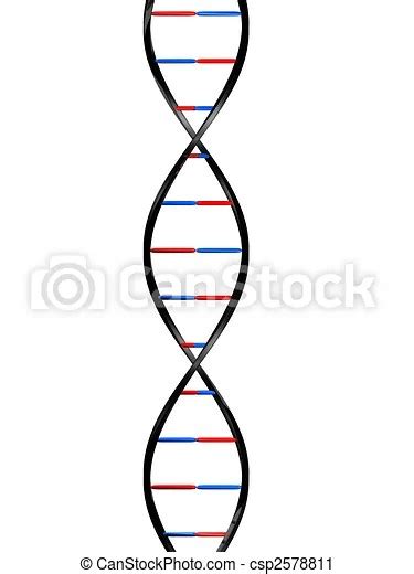 Dna Strand Model Drawing What Is Nucleosome Draw Diagram Of Double