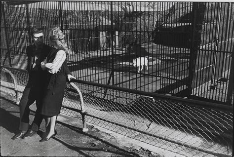 Central Park Zoo New York 1967 By Garry Winogrand Artsalon