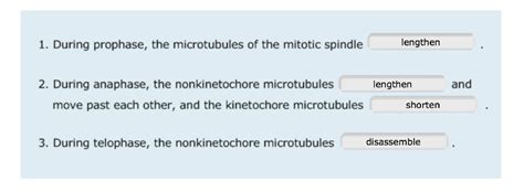 Tour of an animal cell structures and functions (bioflix tutorial) mastering biology. Print Mastering Biology Chapter 12 Mitosis flashcards ...