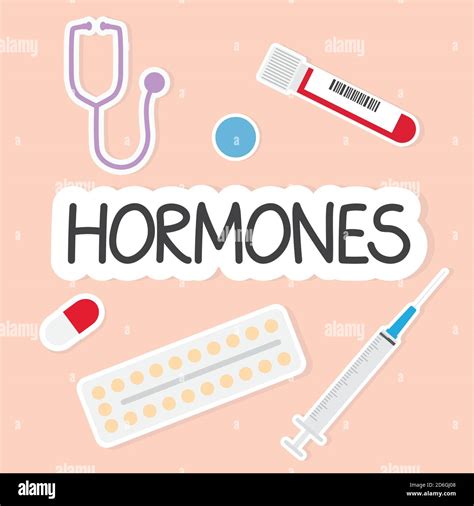 Hormones Word Concept Composition Vector Illustration Stock Vector