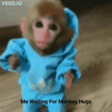 Monkey Hugs GIF Monkey Hugs Waiting Discover Share GIFs