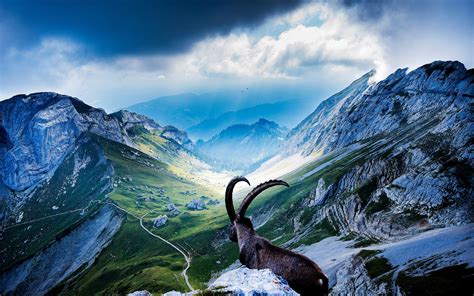 √ Landscape Wallpaper Switzerland Popular Century