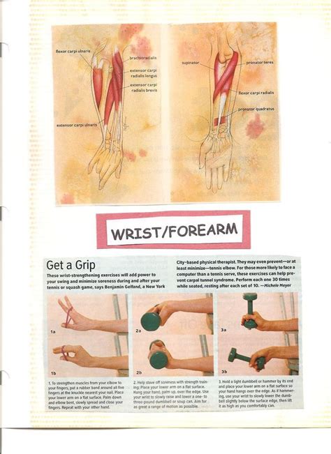 Forearm Workout Wrist Exercises Exercise