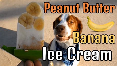 Peanut Butter Banana Dog Ice Cream Ll Diy Dog Treats 2 Youtube
