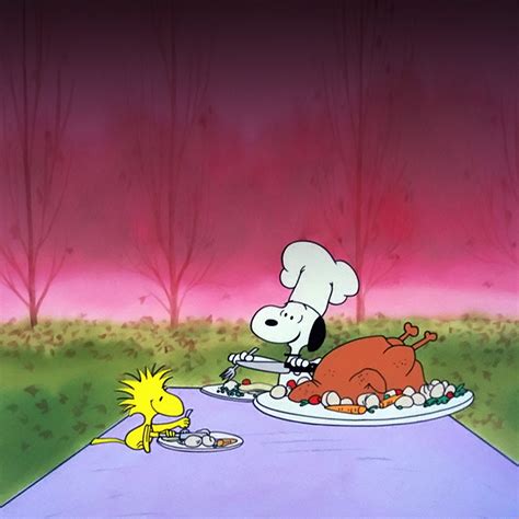 Here are fabulous collections of wallpapers and backgrounds, and download your desired hd images at free cost. Charlie Brown Thanksgiving Wallpaper (42+ images)