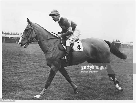 the 33 year old champion national hunt jockey and writer dick francis news photo getty images