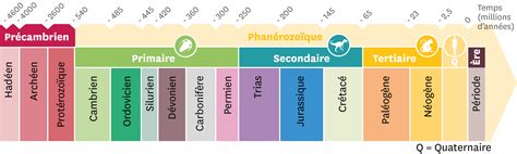 Que nous apprend l échelle des temps géologiques Lelivrescolaire fr