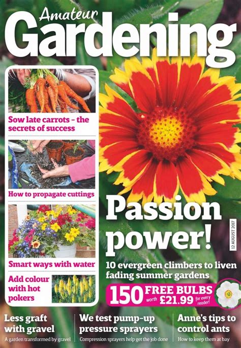 The 10 Best Gardening Magazines Uk