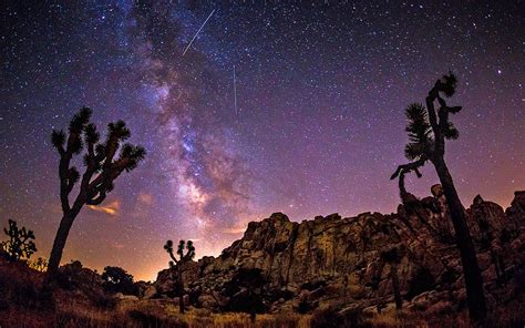 Download Tree Joshua Tree Milky Way Star Starry Sky Sky Night Desert