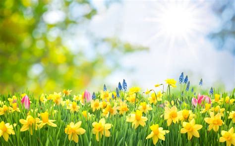 When Does Your Spring Begin? - Earnshaws