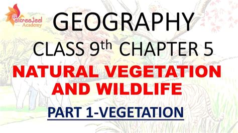 Natural Vegetation And Wildlife Class 9 Geography Chapter 5 Part 1
