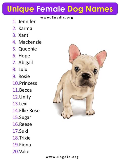 20 Unique Female Dog Names Female Puppy Names List Female Dog Names
