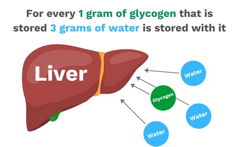 The subsequent easiest is the lipid. How can I tell if my liver is shrinking before my ...