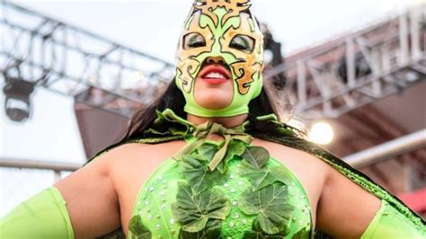 5 Fotos De La Hiedra La Luchadora Más TÓxica De La Aaa Heraldo Deportes