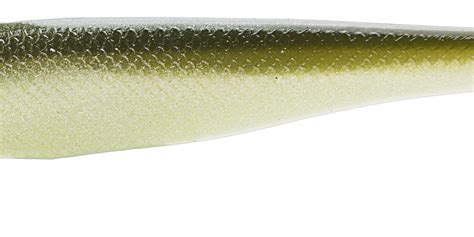 Z Man Swimmerz 6 Inch Paddle Tail Swimbait 3 Pack — Discount Tackle