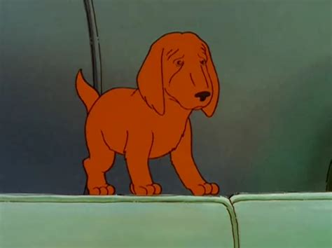 Lady Bird As A Puppy To Brighten Your Day Rkingofthehill