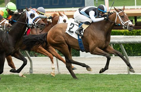 Free Horse Racing Picks At Churchill Downs And Belmont Park For Sunday