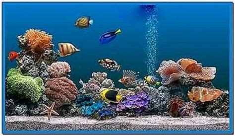 Marine Aquarium Screensaver 359 Download Screensaversbiz