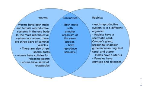 Venn Diagram Similarities And Differences