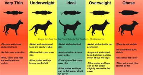 There are six charts for you to choose from. Weight | The Labrador Forum
