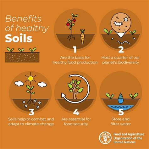 Benefits Of Healthy Soils Food Change Natural Fertilizer Plant