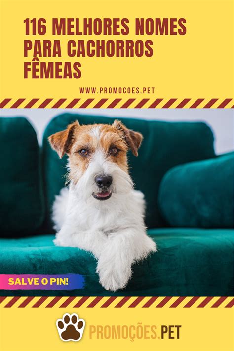 Pin Em Melhores Nomes Para Cachorros Fêmeas