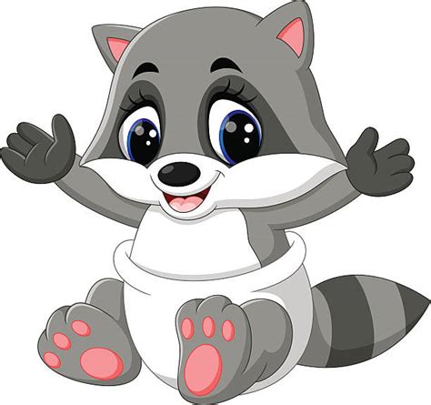 Best Northern Raccoon Illustrations Royalty Free Vector