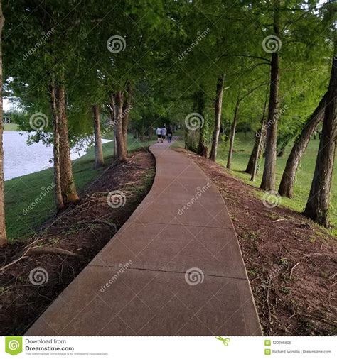 A Beautiful Path Through The Woods Stock Photo Image Of