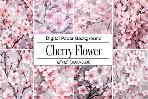 Cherry Blossoms Flower Graphic By Wow Art · Creative Fabrica
