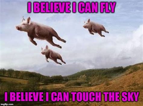 Pigs Fly Imgflip