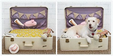 7 Diy Ways To Upcycle Vintage Suitcases Diy Projects Diy Pet Bed