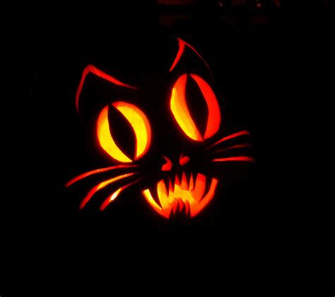 13 Cat Pumpkin Carving Ideas For Halloween Catster