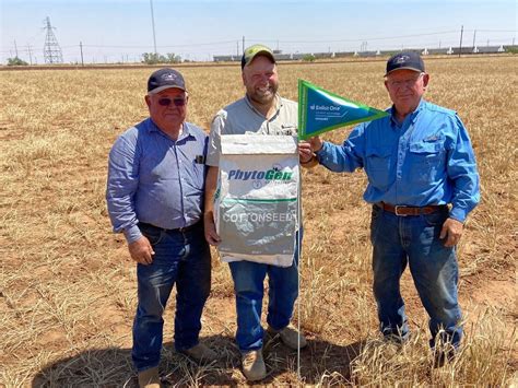 Phytogen Cottonseed Varieties Will Be Available For 2023 Season High