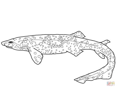 Stats on this coloring page. Swell shark coloring page | Free Printable Coloring Pages