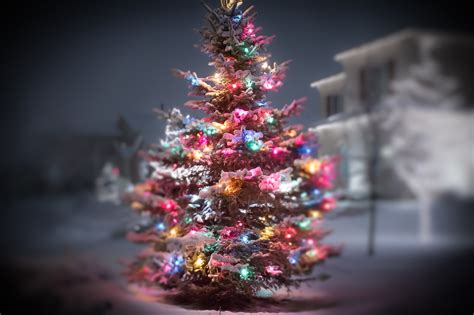 Download Blur Christmas Lights Christmas Tree Holiday Christmas 4k