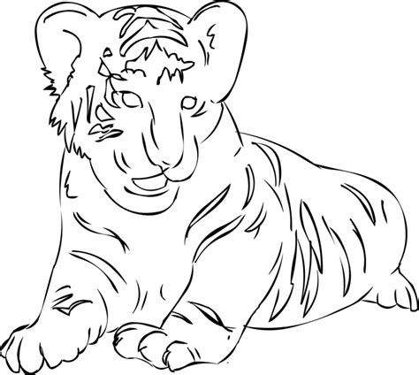 Coloriage Tigre #13701 (Animaux) – Dessin à colorier – Coloriages à