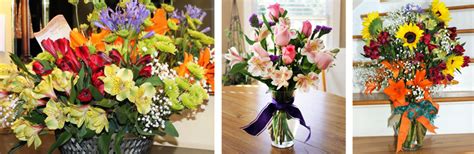 311 beasley dr, franklin, tn 37064, usa adresas. Cheryl's Flowers and Gifts