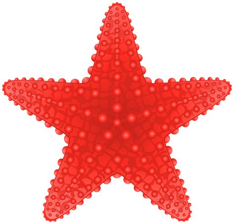 Starfish Transparent Png Clip Art Image Clipart Best Clipart Best