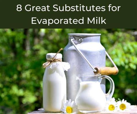 8 Great Substitutes For Evaporated Milk Chefs Pencil