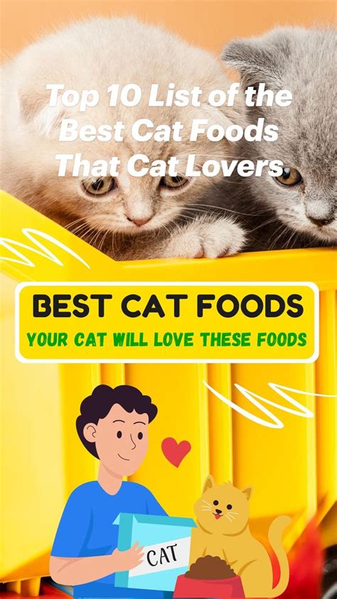 Best Cat Foods Top 10 Cat Foods Your Feline Companion Will Love In