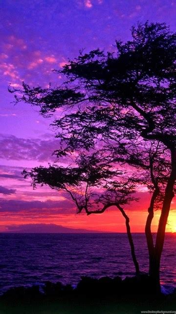 Purple Sunset Wallpapers Hd Images New Desktop Background